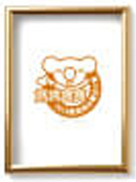 中国台湾 MOMBABY 荣获年度最耀眼10大新晋品牌